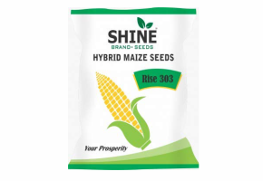Maize-Rise 303(4kg)